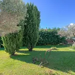 Amazing In With Swimming Pool
