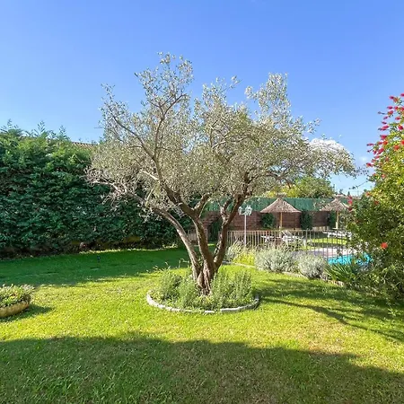 Awesome In With Outdoor Swimming Pool * Aramon